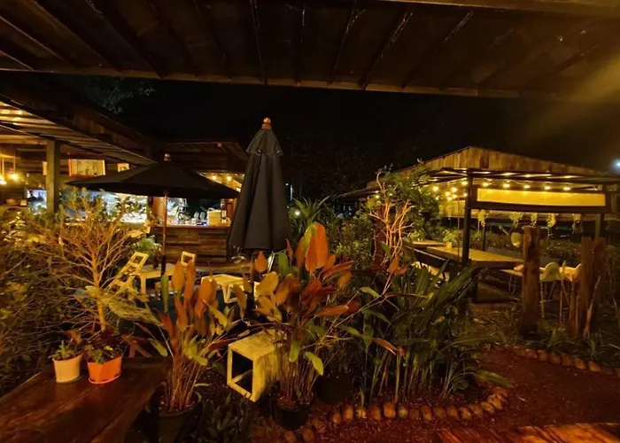 The Willow Phangan