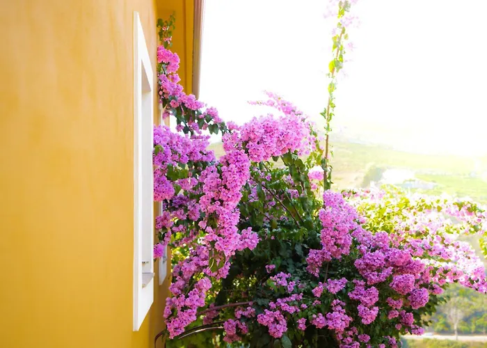 Quinta Dona Matilde