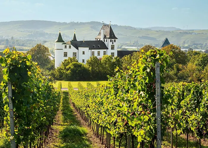 Victor'S Residenz-Hotel Schloss Berg