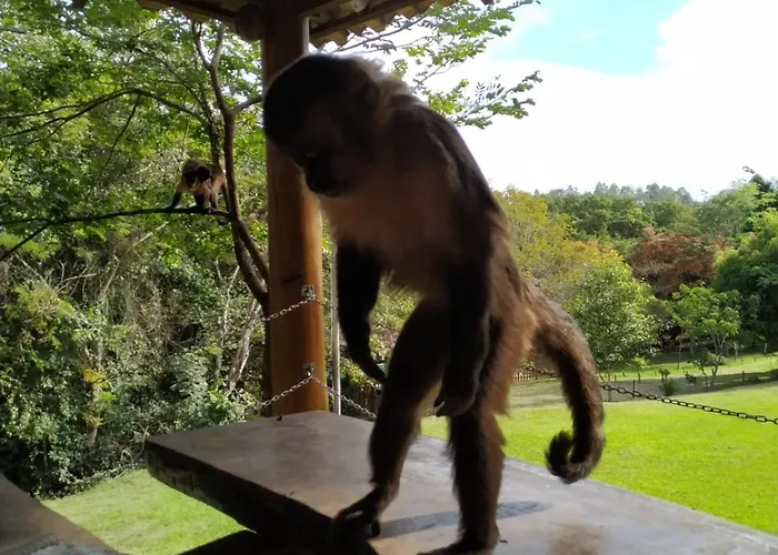 Pousada e Camping Claro Casa de Pedra