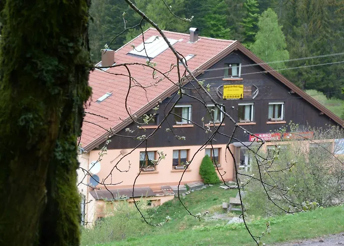 Domaine Des Hauts Viaux