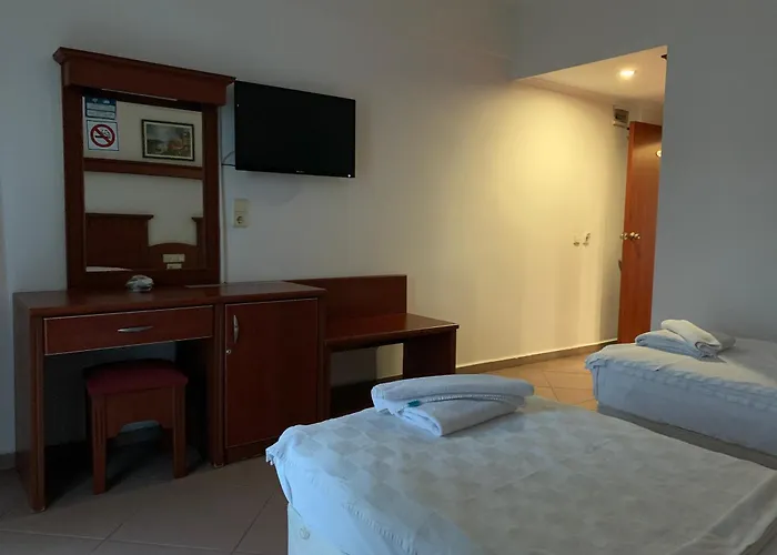 Wasa Hotel