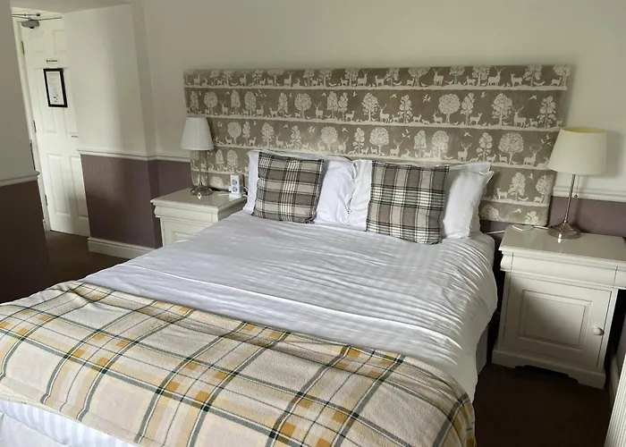 Oyo New Inn Hotel