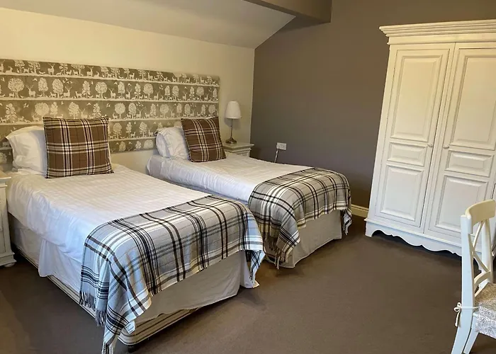 Oyo New Inn Hotel