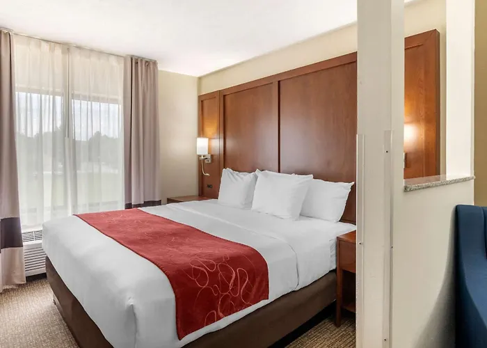 Comfort Suites Speedway - Kansas City