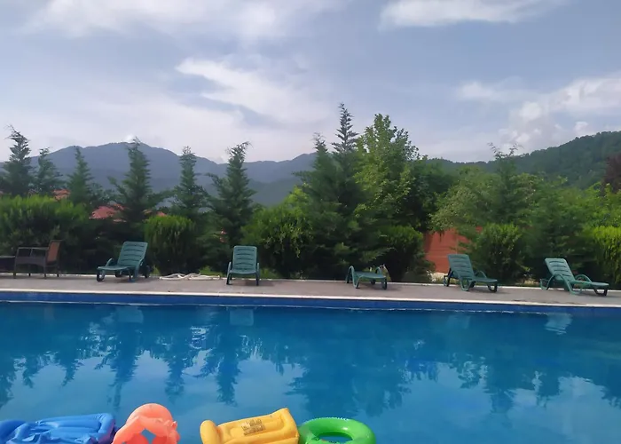 Bliss Inn Hotel Gabala Vandam
