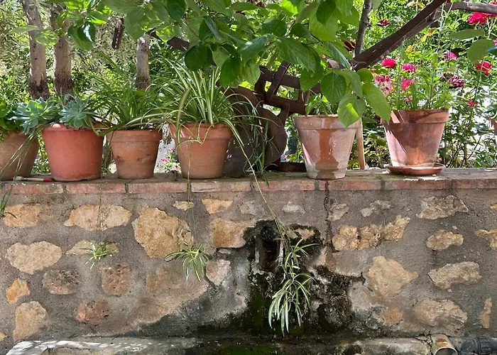 La Despensa Del Valle