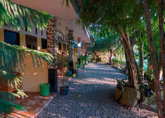 Jungle View Homestay & Guesthouse Only Stay Here Book Treking With Us