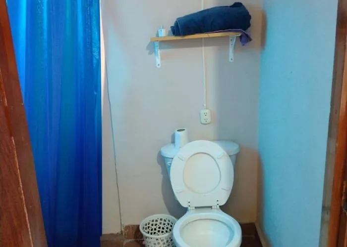 Jayau Apartamentos Cordoba