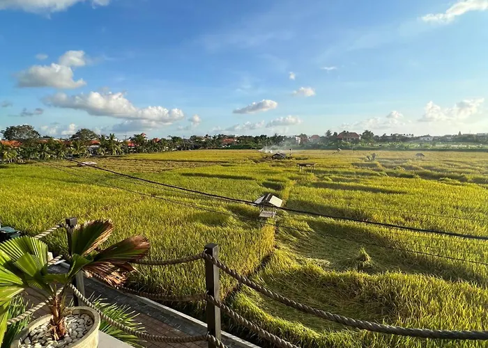 Canggu Hype