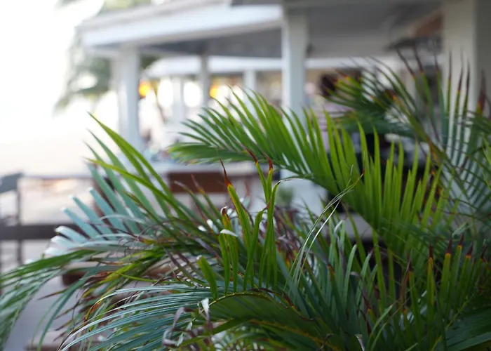 Hotel Le Roy
