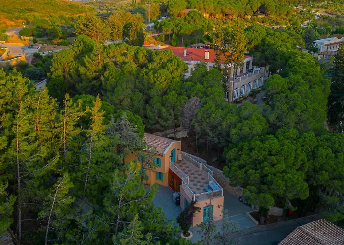 Kairos Valley Wellness & Longevity