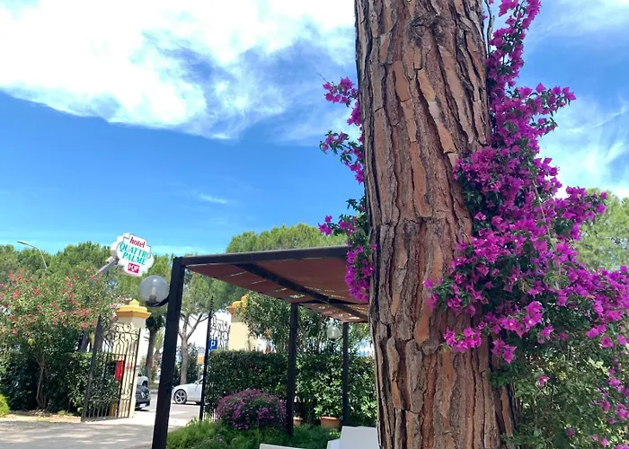 Hotel Quattro Palme
