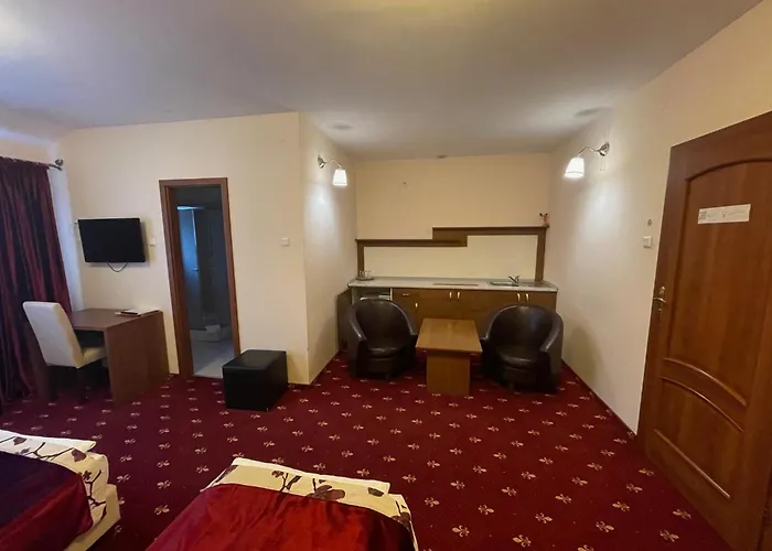 Hostel Paltinis