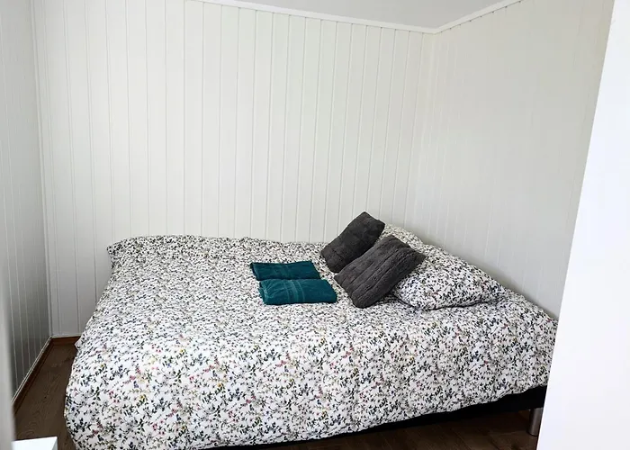 Aurora rooms in shared apartment nr2 We are doing privet Northen lights trips, reindeer trip&Fjord sommaroy trip