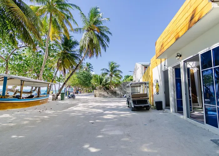 Velaavani - Turtle Hive Dhiffushi