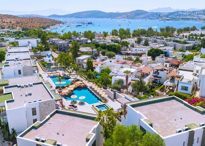 Ayaz Suites