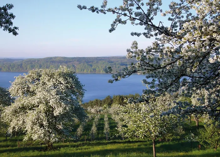 Fx Mayr Zentrum Bodensee