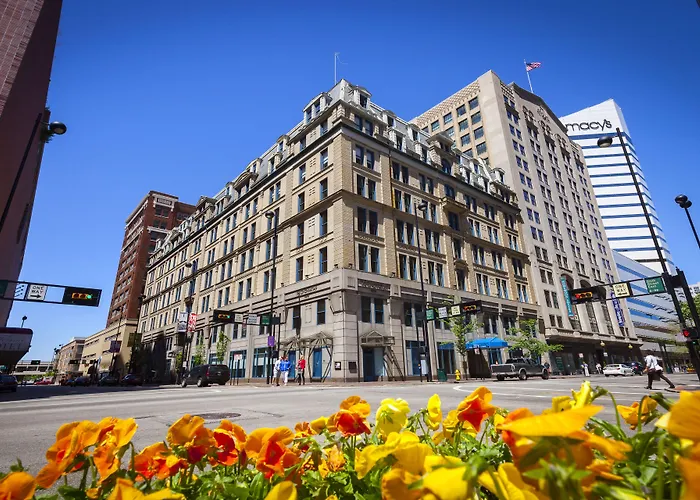 The Cincinnatian Curio Collection By Hilton