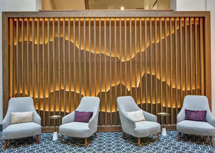 The Cincinnatian Curio Collection By Hilton