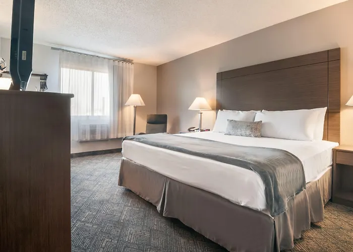 American Inn & Suites Metro Airport