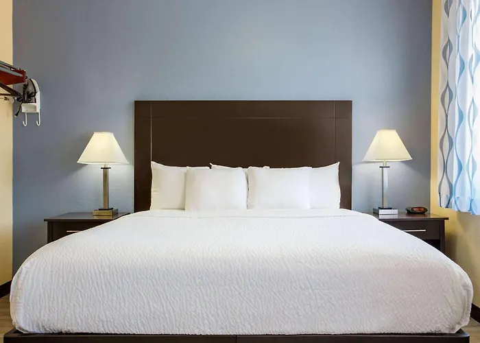 Days Inn & Suites By Wyndham Dfw Airport South-Euless