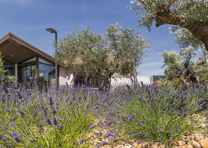 Terre de Provence Hôtel&Spa