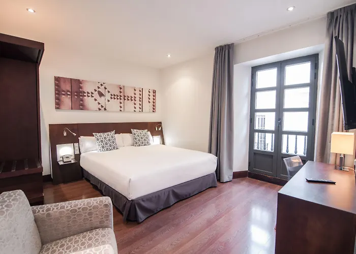 Petit Palace Marques Santa Ana
