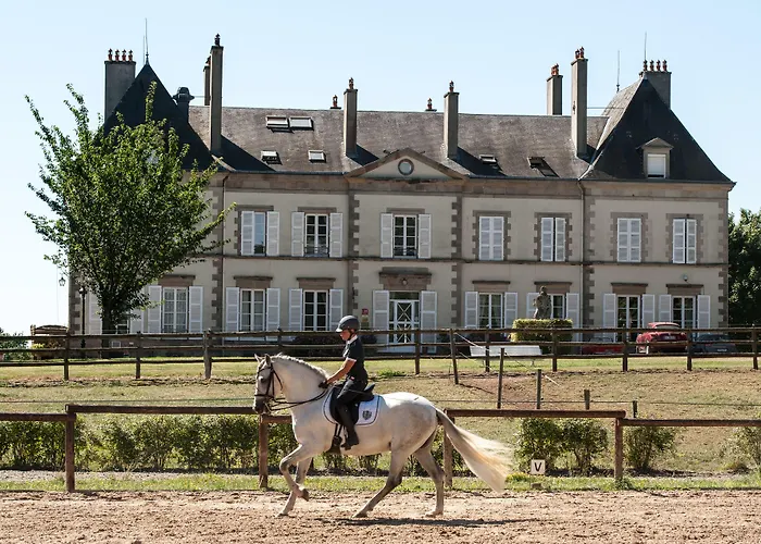 Château d'Ygrande - les Collectionneurs
