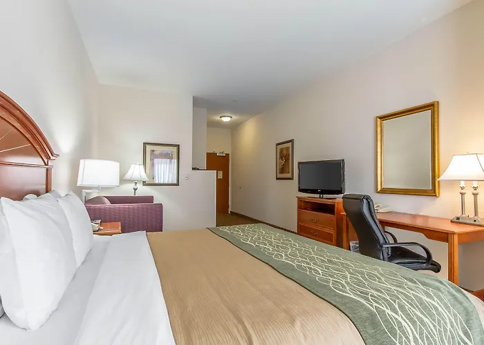 Comfort Inn & Suites Norman Near University