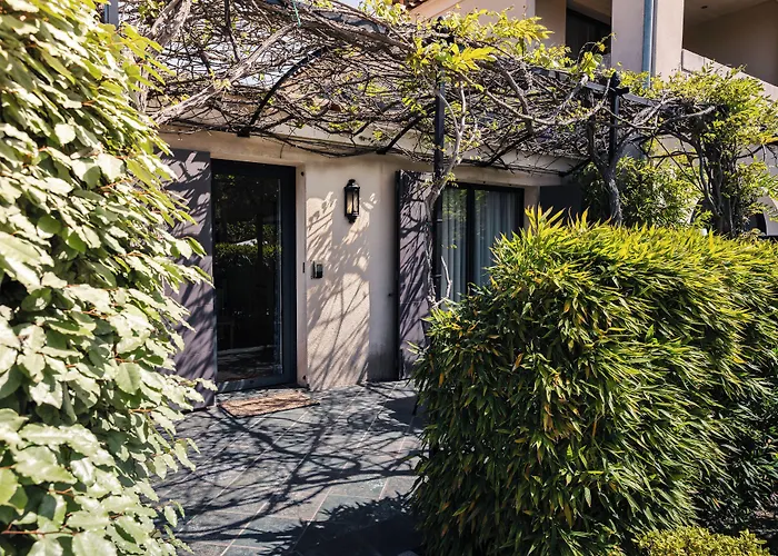 Du Côté Des Olivades