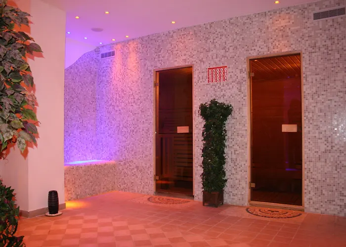 Hotel Olisamir