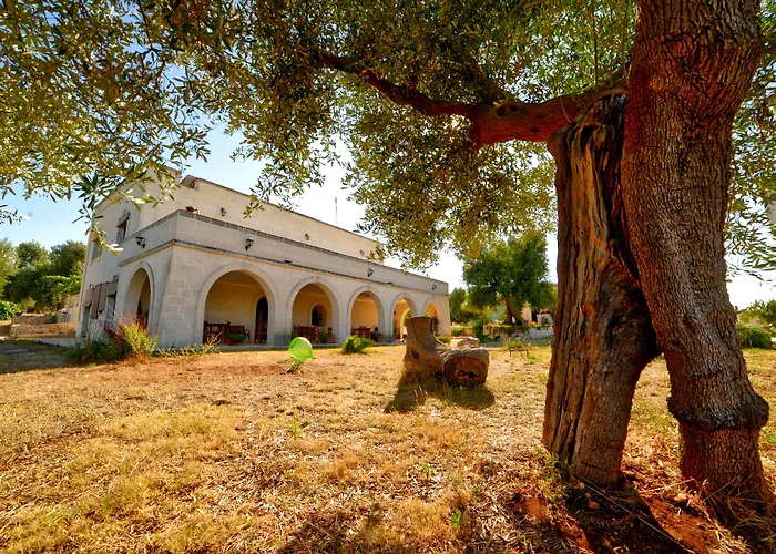 La Piana degli Ulivi