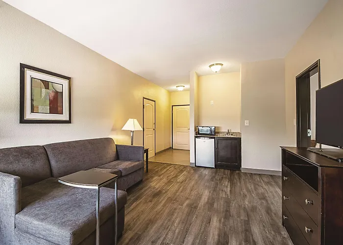 La Quinta By Wyndham Mckinney