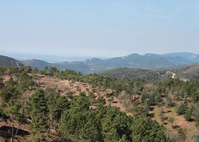 L'Estirado des Adrets