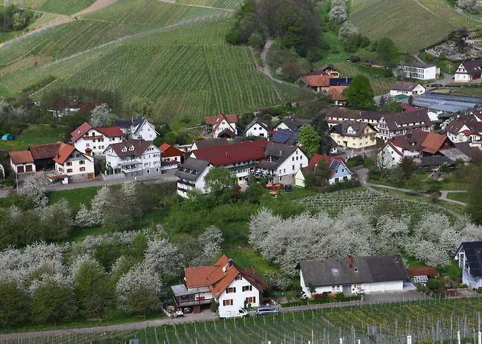 Hotel Faxe Schwarzwaelder Hof