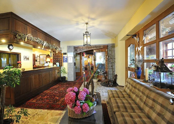 Hotel Etoile De Neige