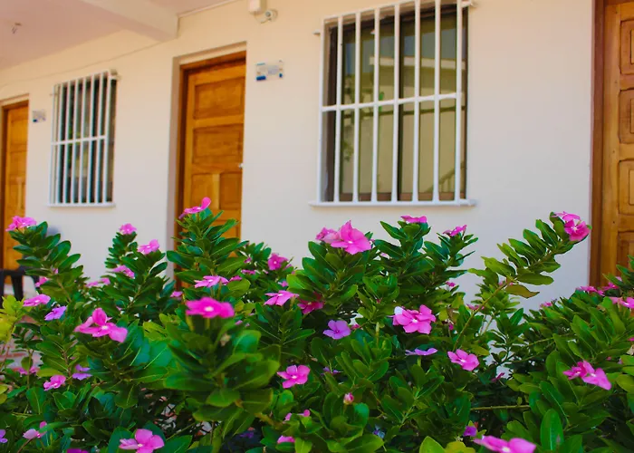 Hotel Dorado Plaza Punta Arena