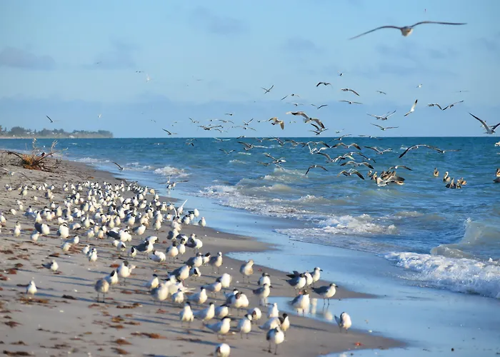 Casey Key Resorts - Beachfront