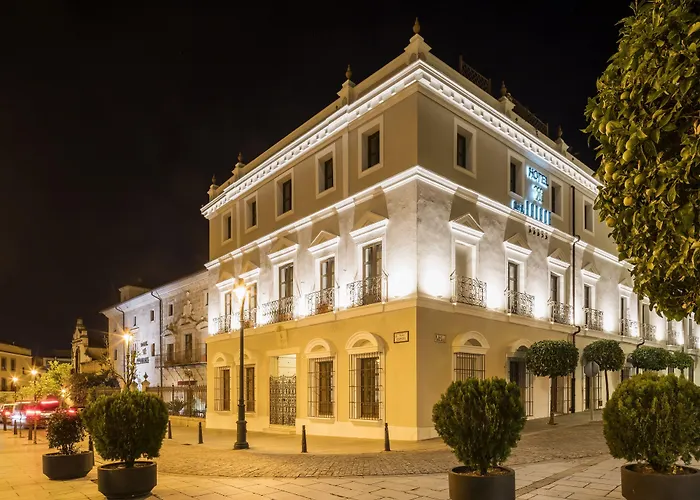 Hotel Ilunion Mérida Palace
