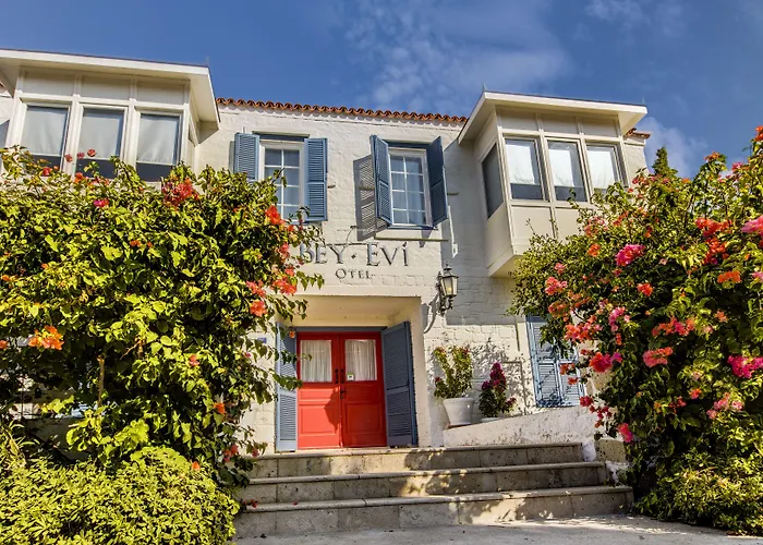 Beyevi Alacati