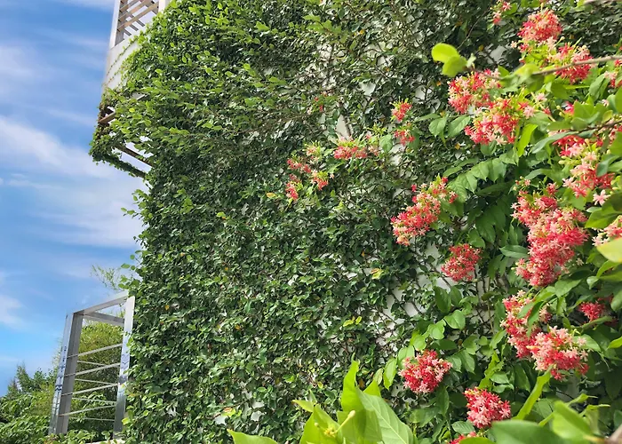 Ideo Phuket Hotel - Naiyang Beach