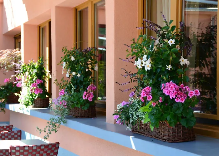 Le Rhien Hôtel-Restaurant