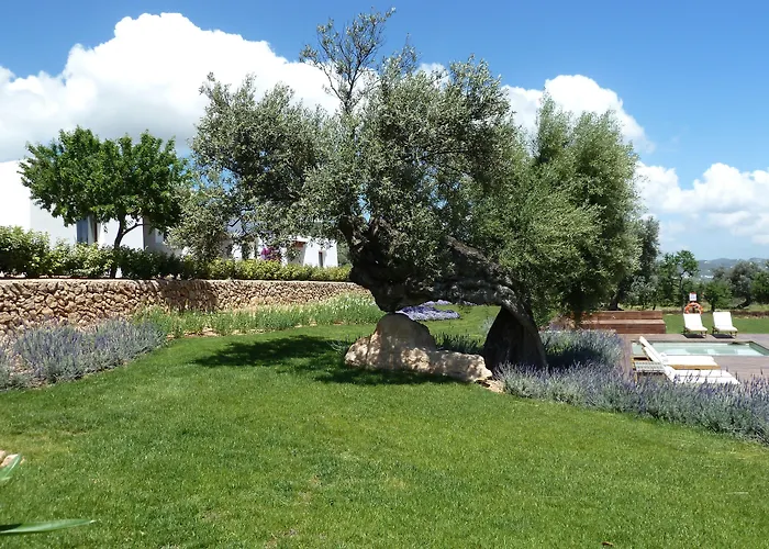Casa Maca