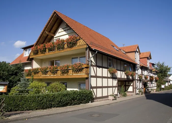 Brauner Hirsch Hannoversch Münden