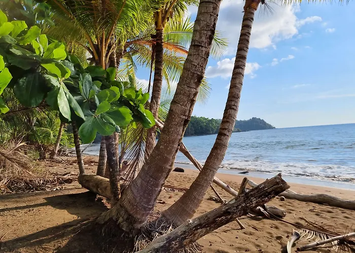 Cabinas Pura Vida Bed&Breakfast