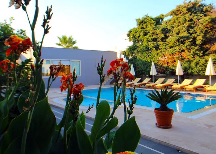 The Losh Hotel