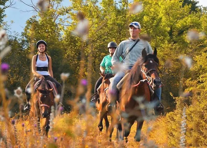 Hotel Holidays A Barrea - Natura, Relax E Benessere Nel Parco D'Abruzzo