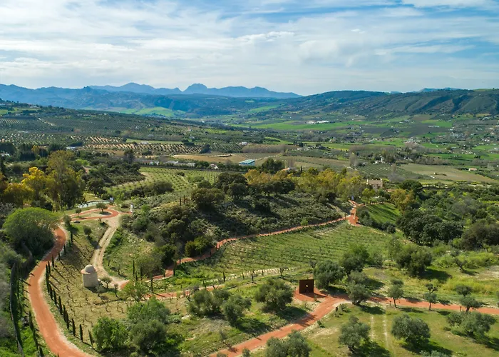Cortijo La Almazara