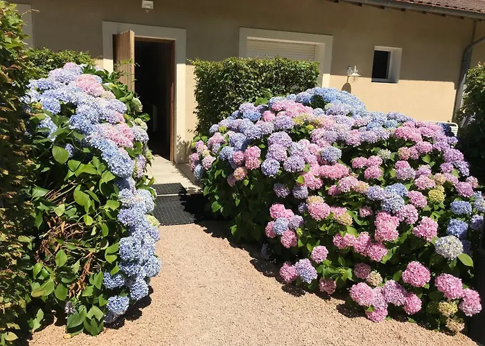 Auberge Les Hauts De Chenas